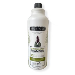 Morfose shampoo quinoa...